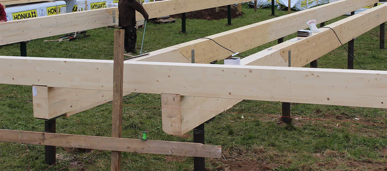 Skruvpåle - orginalet bland markskruvar